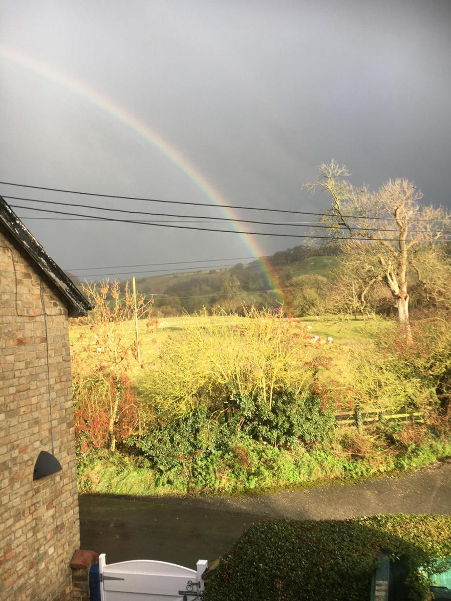 Rainbow by school dIMG_3282.jpeg