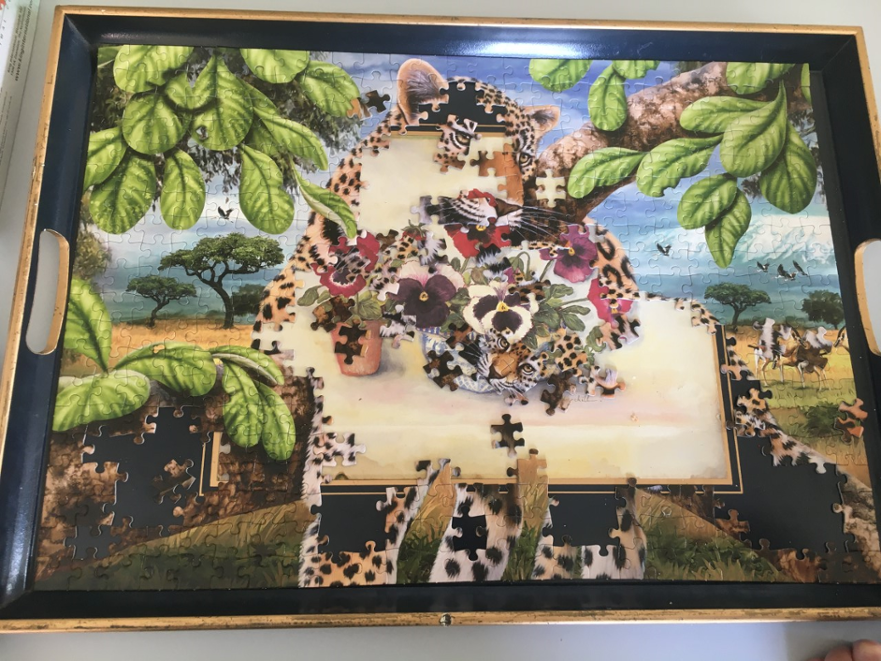Jigsaw in progress 13May 2021 