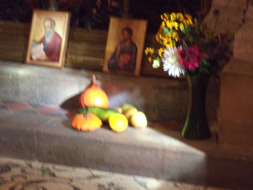 DSC01624 